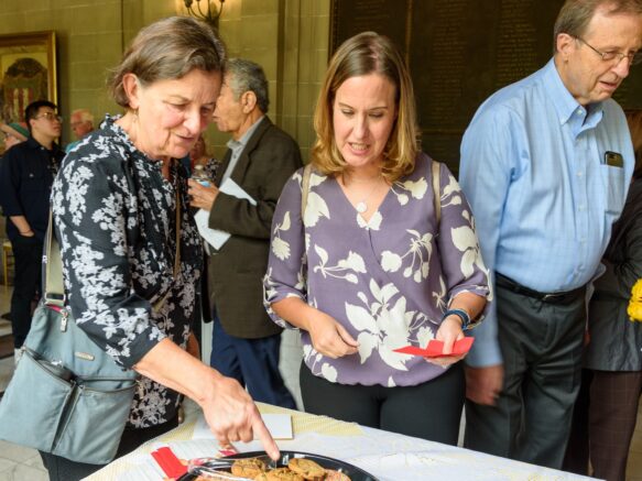 {{brizy_dc_image_alt imageSrc=